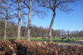 Koeienkleinhagenbeek4