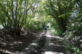 Dammerweg